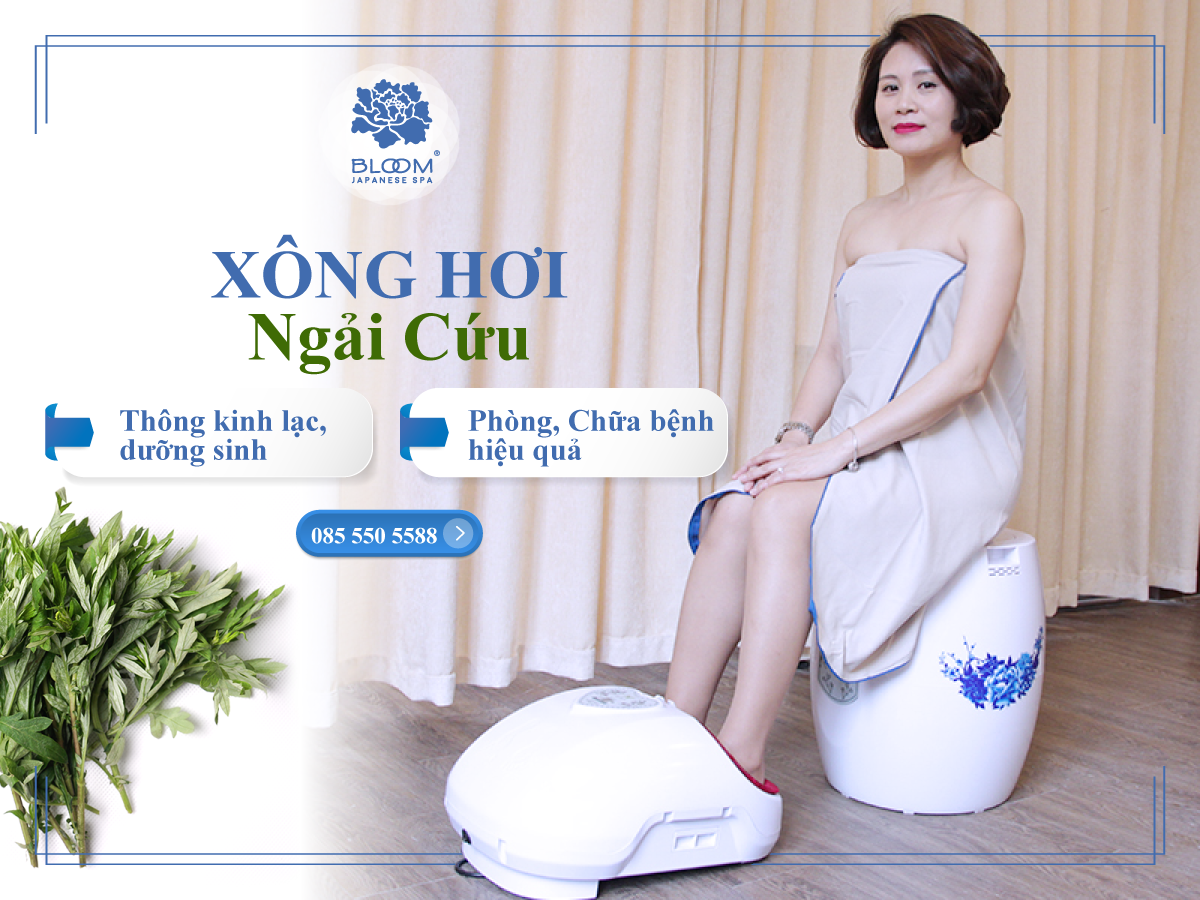 Xông Ngải Cứu Free